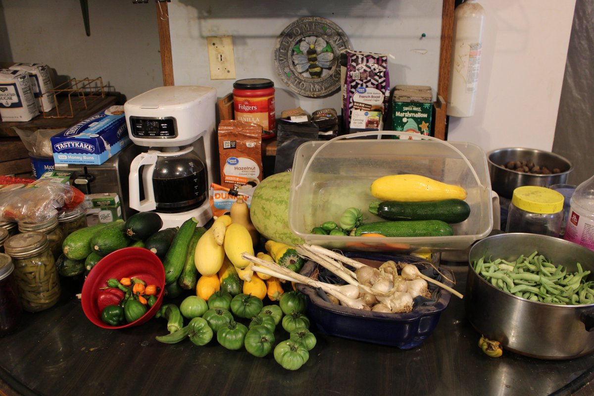 docsanderson's tweet photo. #Scientists #BotanicalGarden #Ecologist
@NatGeo @danpeckwx @HeartsofHeroes_
@Nature G Mags Lizzie sat in #Garden picked more #Zucchini #Squash #Tomatoes & #Peppers Im not as young as i used to be need to lay down in Aircon to Hot for Lunch hope your Evenings are Cool Mwah Lelon https://t.co/cykq30KQct