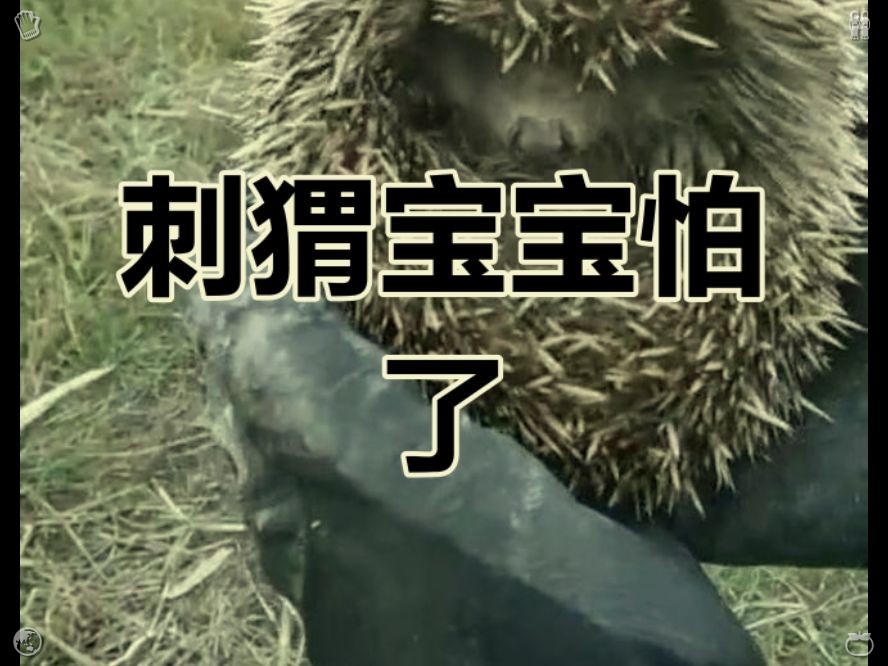 Loose_001's tweet photo. 翌日旭日东升，金色的光芒洒满海岛。埃拉拉与托马斯伫立在灯塔露台上，凝视着海浪拍打岸边，薄雾散去，露出了晴朗的蓝天。多年来，这还是第一次…… https://t.co/aFJ072e43A