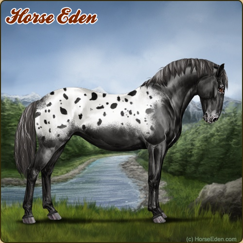 HorseEdenGame's tweet photo. Today's featured Game Horse! Breed your dream horse! Play for free today!
#horse #horses #horsegame #horseeden #animals #simgame #petsim #petgame #horseart #gameart #knabstrupper #appaloosa #blackstallion #dressage #showjumping #eventing #art #game https://t.co/dWSqboFHZc