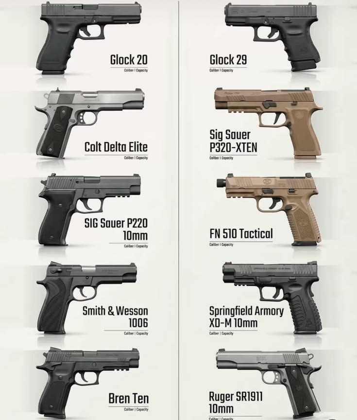 Gun Fanatics tweet media