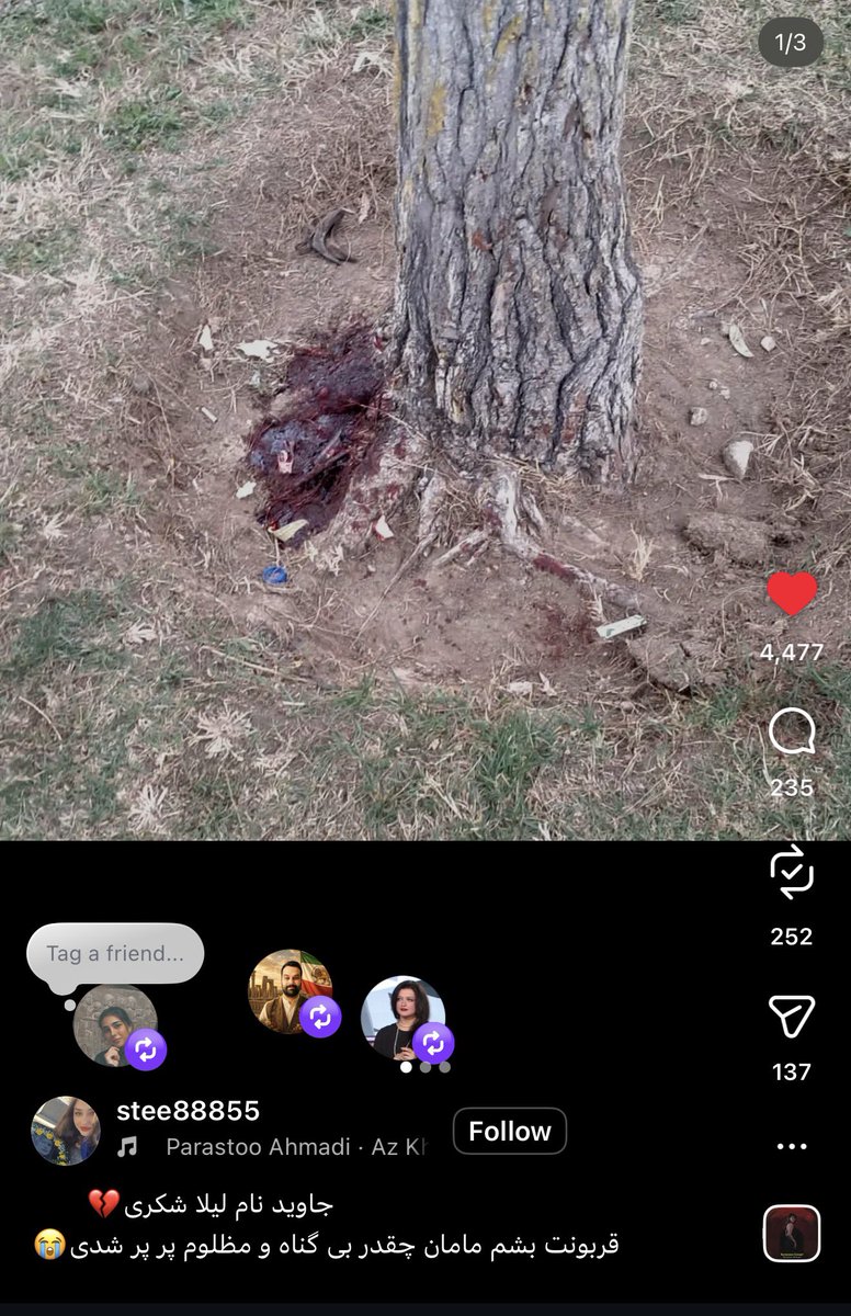 Sara8a2s's tweet photo. فرزند ایران و جان فدای میهن #لیلا_شکری 
یه لنگه کفش و خونی که وقتی بعد از تیر خوردن پشت درخت نشسته ازش ریخته جا مونده… به هیچ کس رحم‌ نکردن هرکی تو دیدشون بوده زدن! 

پیج دخترش تو اینستام مشخصه 💔 https://t.co/S4NfuYLNwK