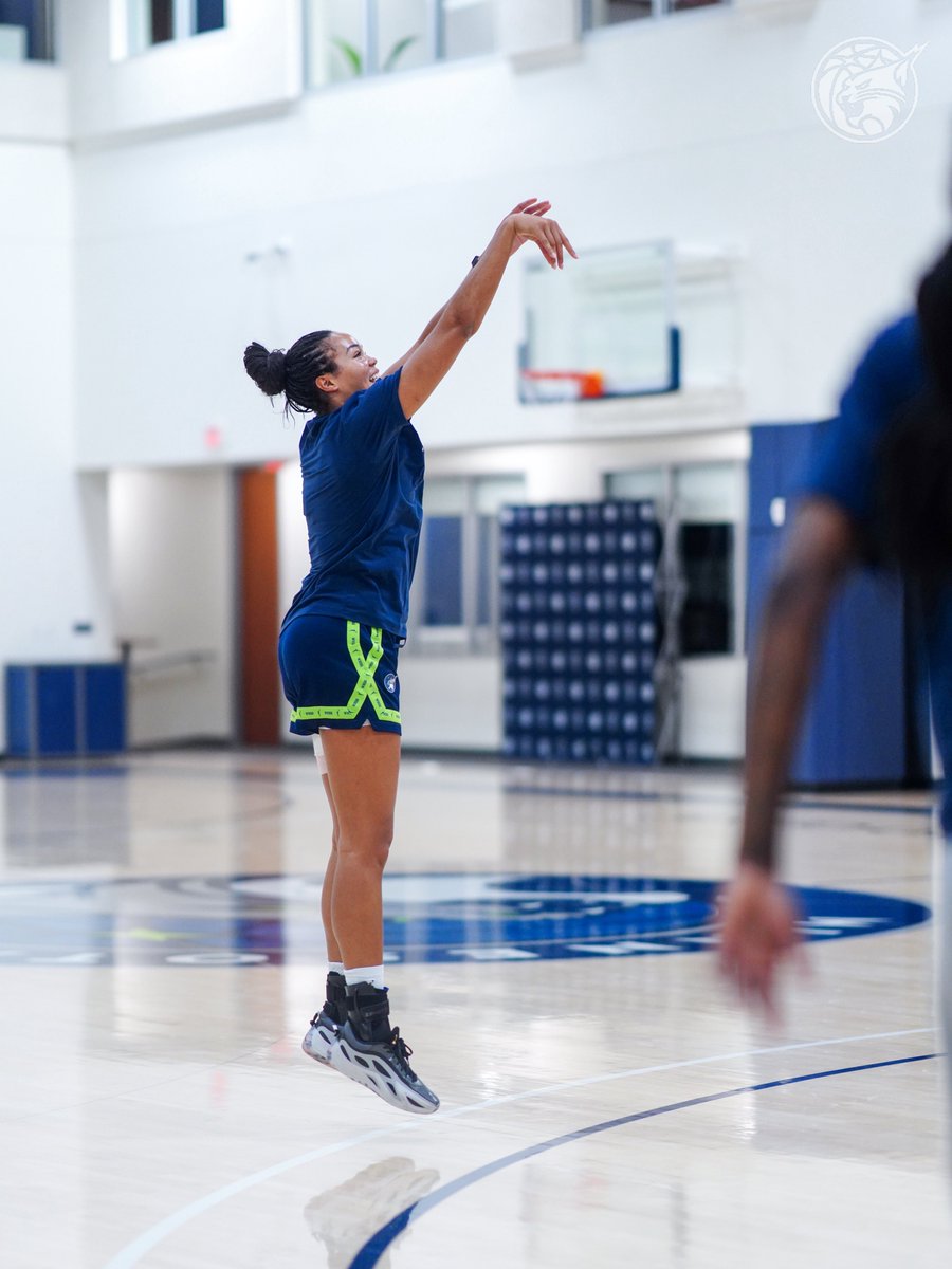 minnesotalynx's tweet photo. returned to team practice activities. 😁 https://t.co/ZjKVfPaaoy