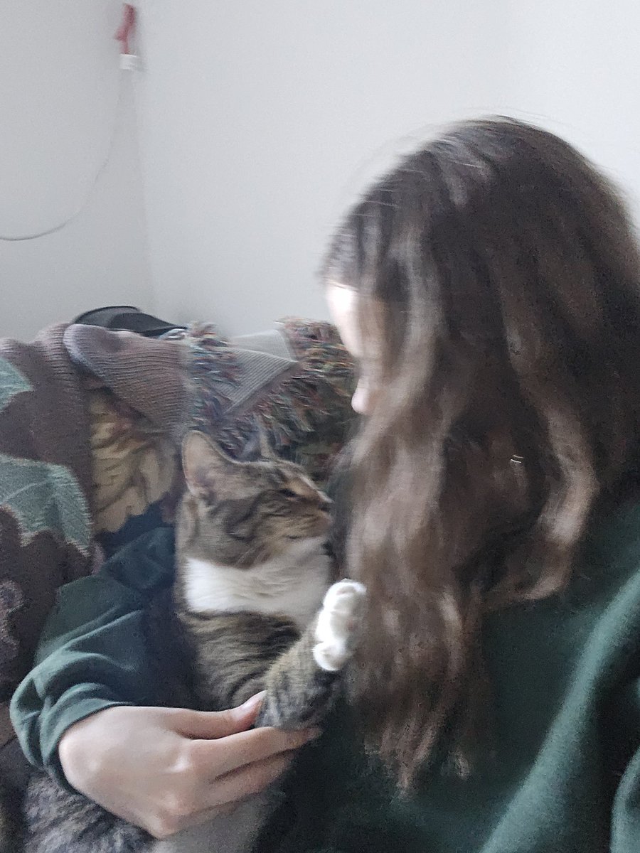 SamaliciousSo's tweet photo. @projecthailmary @PrimeVideo My girl stormfly !! She loves her cuddles and attacking me :) https://t.co/GQcs1Ytqbx