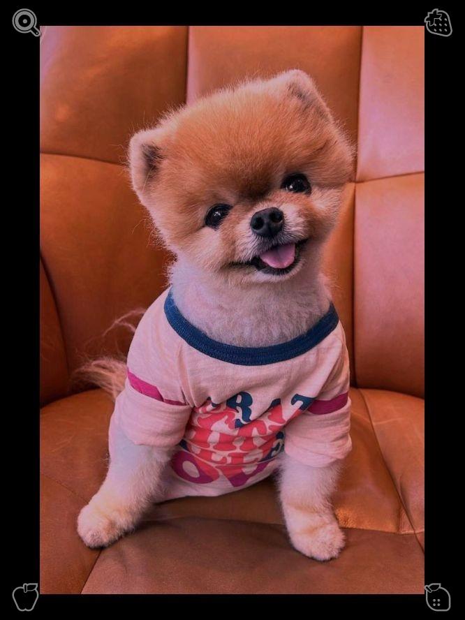 A11213451's tweet photo. Fundraiser结束后，她走向岸边，看着一群孩子在追逐海浪，欢声笑语不断。她拿出手机，面带微笑地与背景中的孩子们拍了一张自拍。这张照片记录了这次与朋友们在公园游玩的时刻。 https://t.co/lD77g2nsqY