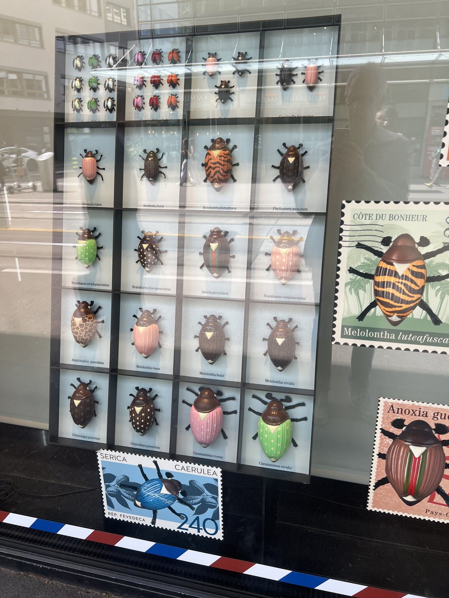 WearMano's tweet photo. Vollenweider Chocolatier Confiseur showcase in Zurich... 🐞😋👀
@vollenweiderchocolatier #zurich #manowear #thisisart https://t.co/cxQeB0HvEj