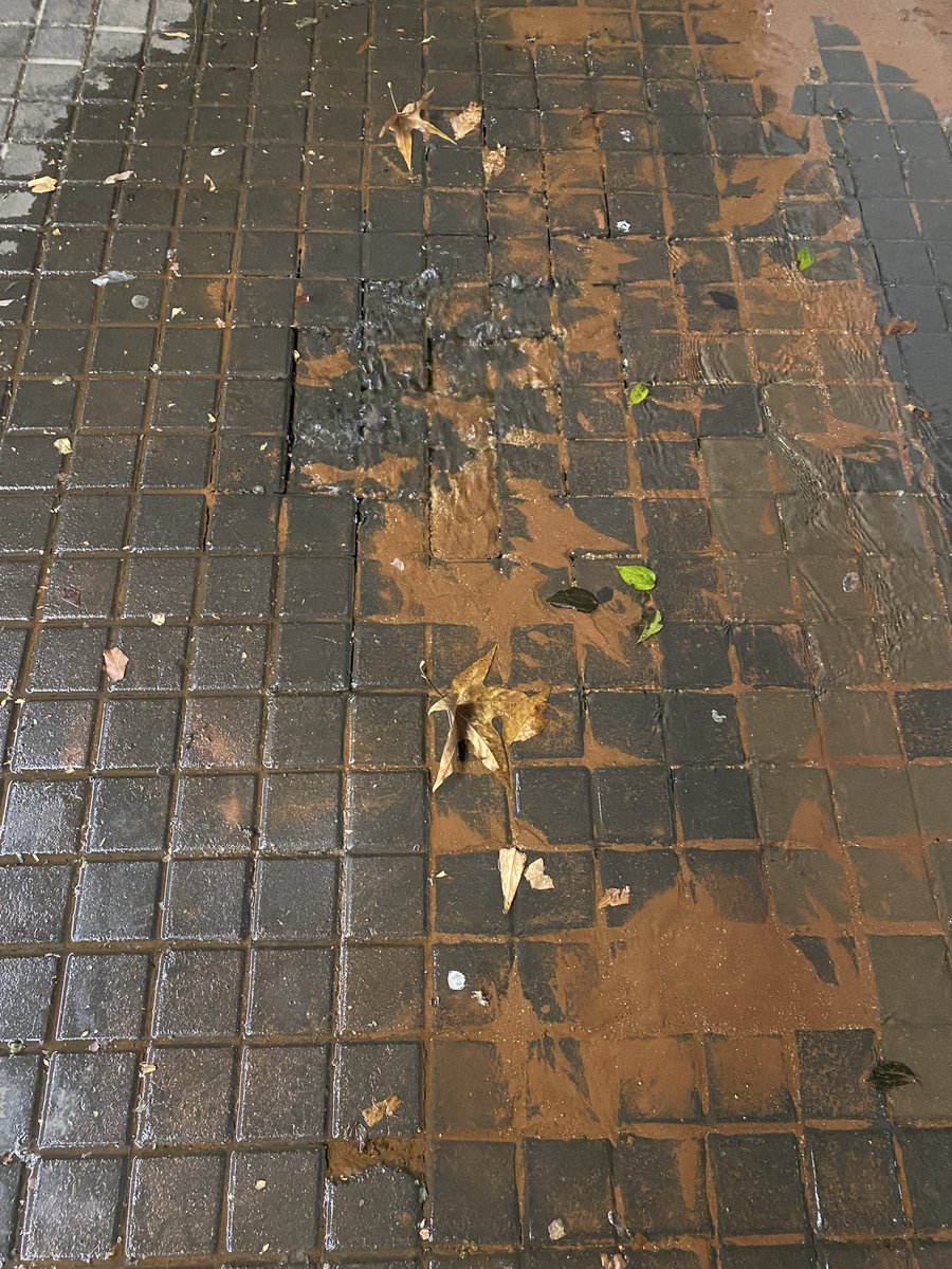 SiyabongaMotha_'s tweet photo. Looks like a leaking pipe. It has been happening for about a week now.

@JoburgWater this is in Braamfontein, Jorissen and Bertha just outside SouthPoint.

@CityofJoburgZA https://t.co/te32B73gD3