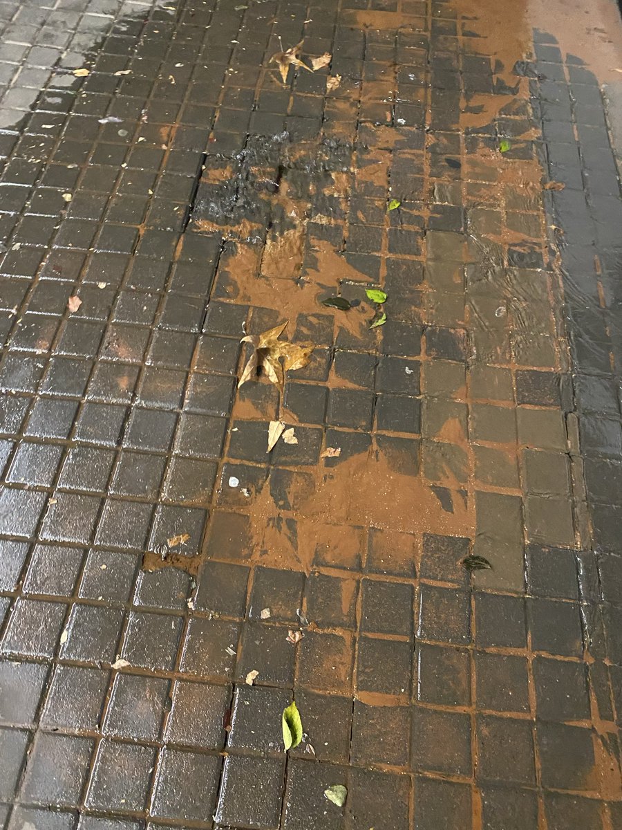 SiyabongaMotha_'s tweet photo. Looks like a leaking pipe. It has been happening for about a week now.

@JoburgWater this is in Braamfontein, Jorissen and Bertha just outside SouthPoint.

@CityofJoburgZA https://t.co/te32B73gD3