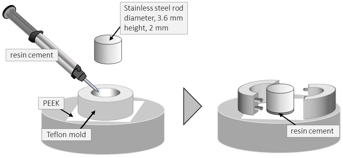 AdhesivesMDPI's tweet photo. 📘 New in Adhesives

🦷 Interfacial Bond Strength of Resin Cement to PEEK Using Experimental Primers Doping Multifunctional Methacrylate and Acrylate Monomers

🔗 https://t.co/qNCYP0nnwv

#PEEK #Dentistry #DentalMaterials #Biomaterials #Adhesives #OpenAccess https://t.co/sCpdxZq3KK