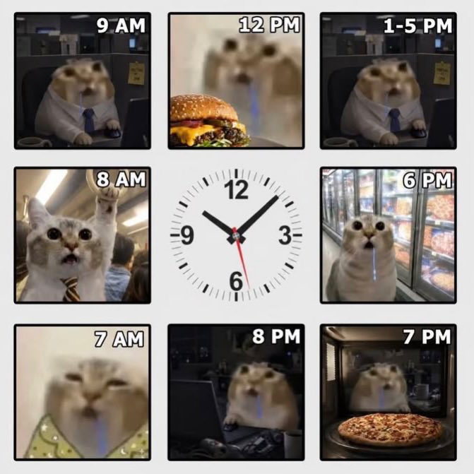 literallymecats tweet picture