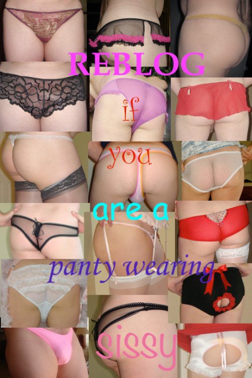Cindy6641252074's tweet photo. Once panties touch your clitty, you're hooked for life 😍💕👙 https://t.co/lyzDjdMExA