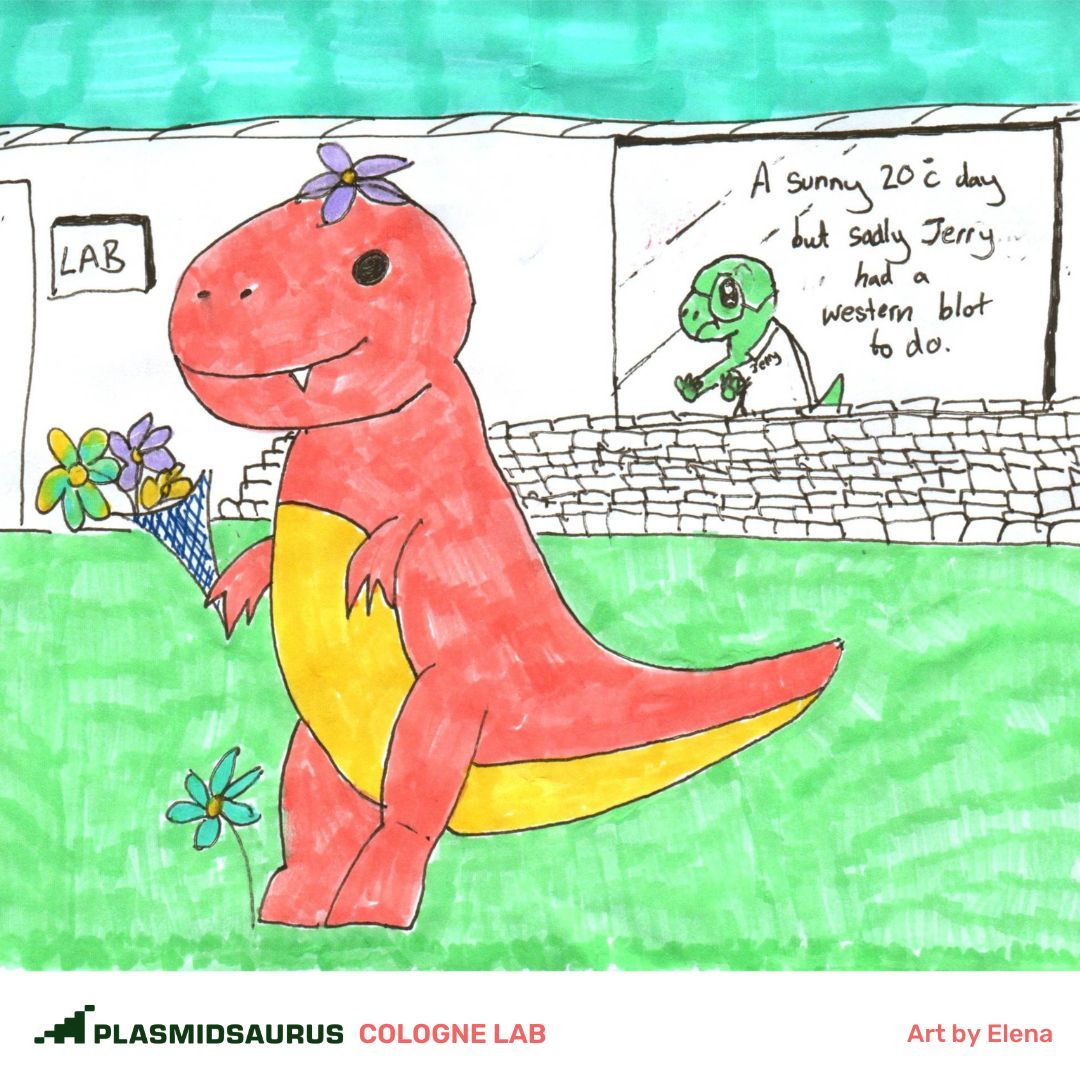 plasmidsaurus tweet media