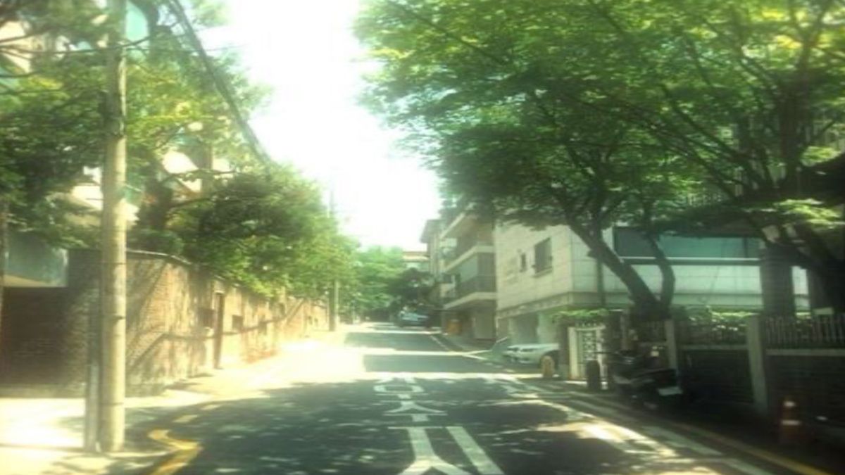 pookloo77356635's tweet photo. The way snow sparkles in sunlight is pure magic. - Thắng Đ. Chu https://t.co/IsUSt4db2V