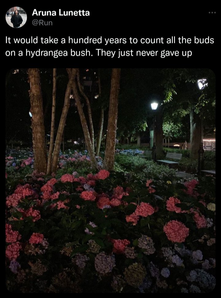 catlovesy_'s tweet photo. ♡ Margin of Error ♡ || Chapter 022

Hydrangea 

#au #sseongruka #sseongrukaau #rukaau #jayau #kpopau #kpop #romance #collagelife #romcom #slowburn #wittycouple #fanficau #fanfiction https://t.co/zYUjSFPF0V
