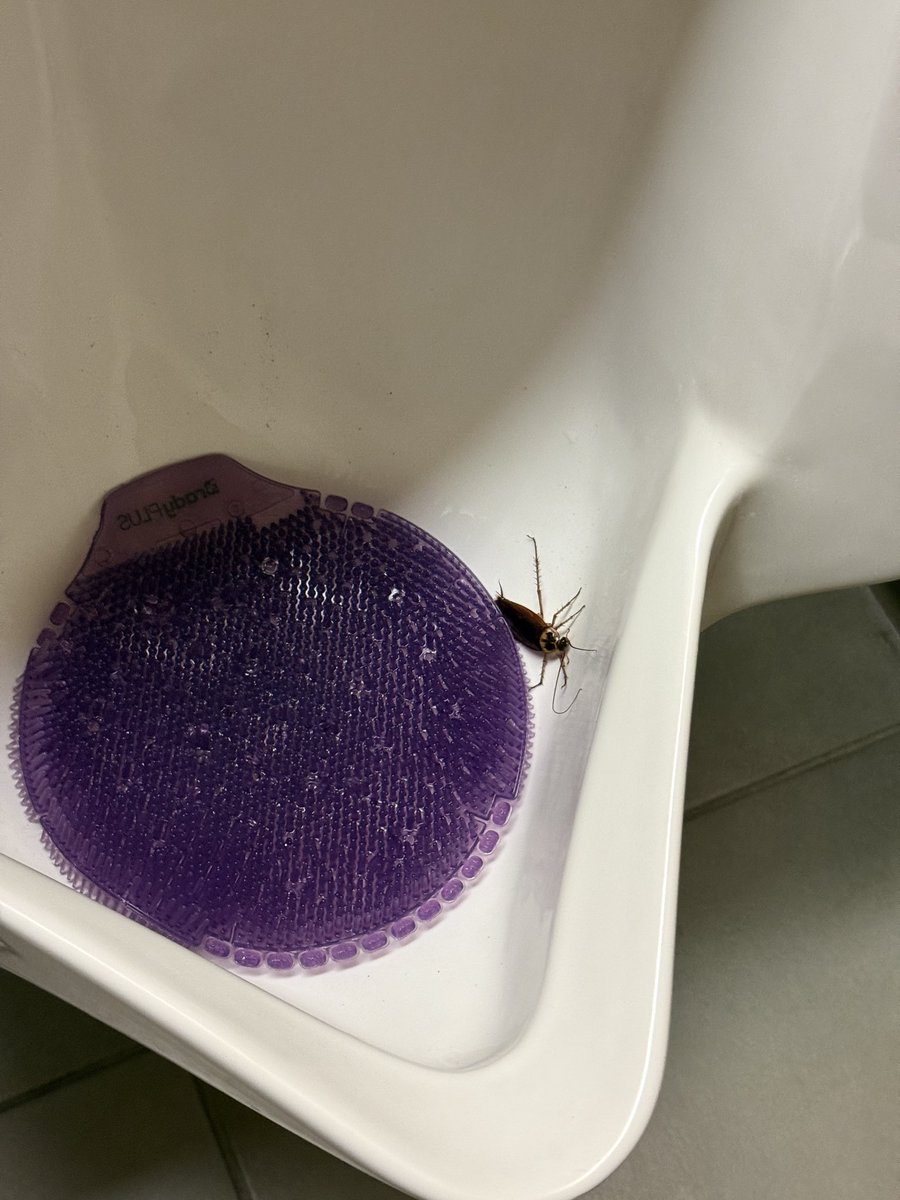 billdyll's tweet photo. Slimy fuck is just asking for my #pissjuice https://t.co/nmdtEyiRZp