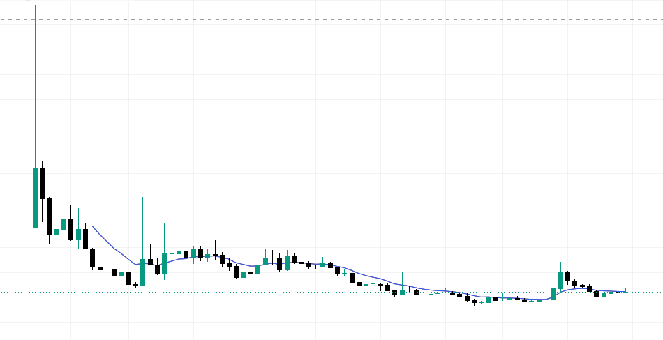 grumpybear00x's tweet photo. What is your take on $ORCA? 
how are the fundamentals looking? is this a good coin to accumulate for the long term or would you stay away? Share your thoughts guys https://t.co/yY1rZPZKbf