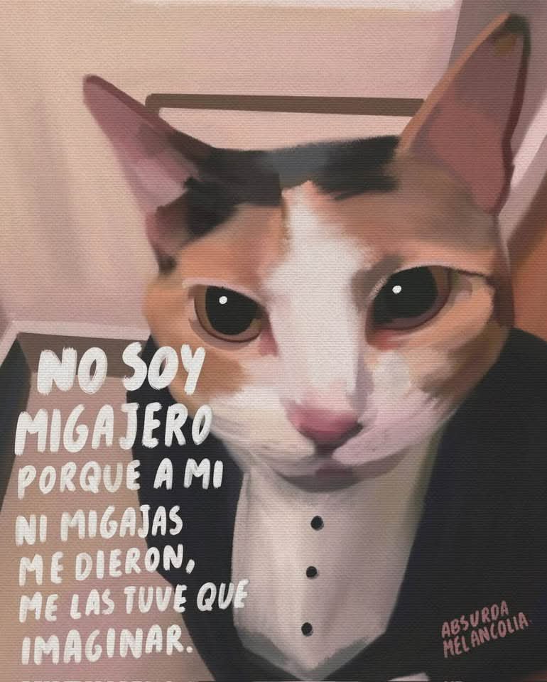 absurdamela's tweet photo. https://t.co/f2gpjhqsuM