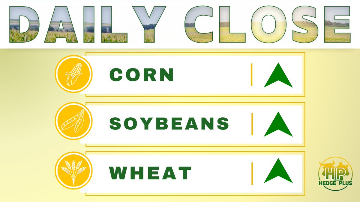 HedgePlusWI's tweet photo. Selected grain contracts at settlement...

Momentum sustained for at least another day in the aftermath of yesterday's USDA reports that awoke these oversold markets...

Dec CORN: up 6¼ cents to $4.42¼
Nov SOYBEANS: up 5½ cents to $11.49¼
Sep WHEAT: up 10¾ cents to $6.00 https://t.co/i9I6urlC5i