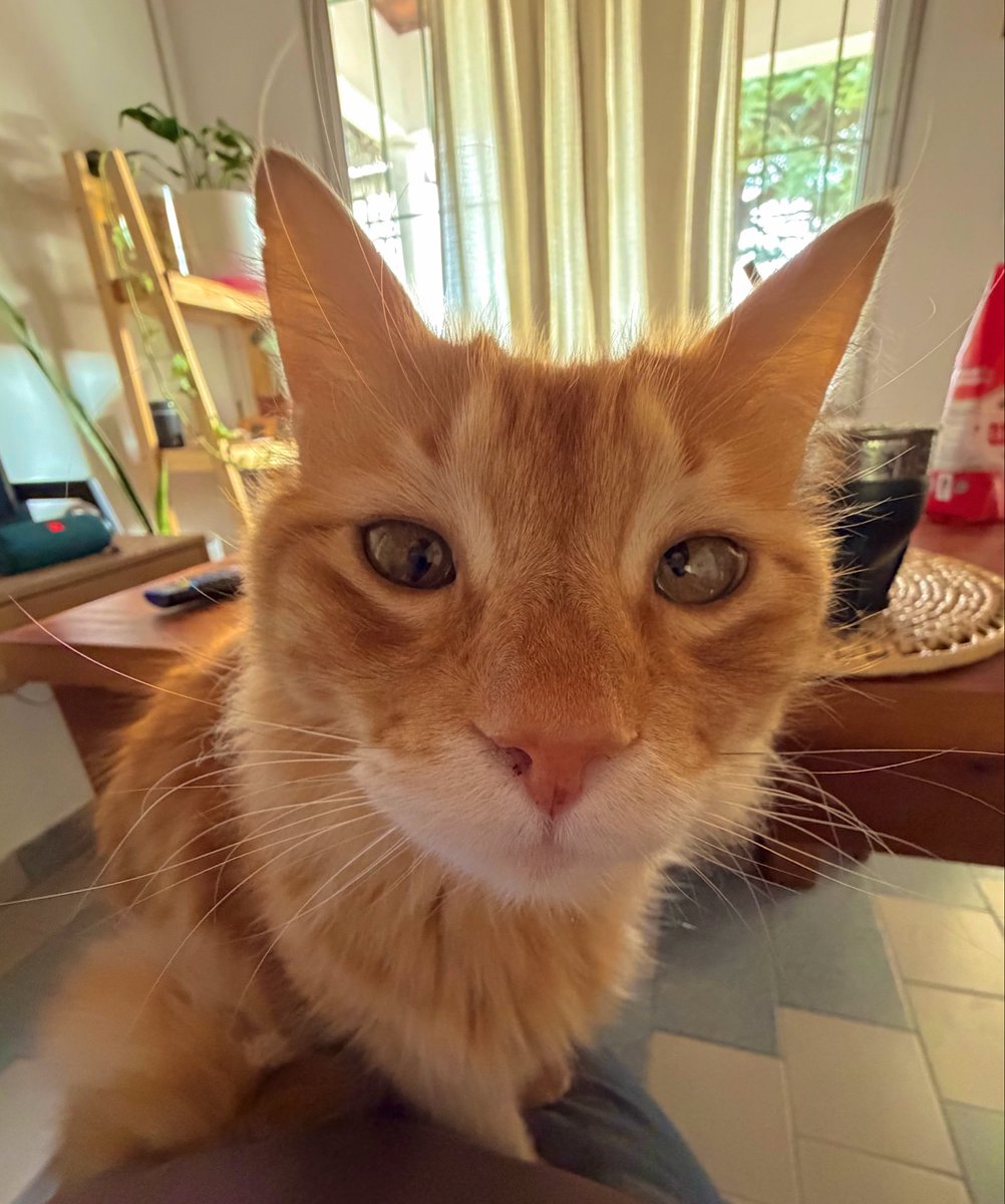 isntcarolina's tweet photo. gordo como vas a tener los ojos tan bizcos vos querés que yo te ame para siempre https://t.co/2zzji6anbl