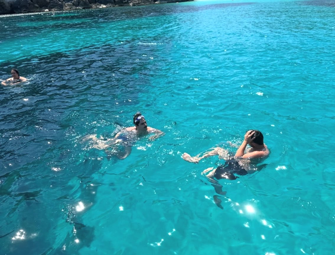 rompeolastan's tweet photo. 🩵🐬🐠🪡 https://t.co/jygKshKidq