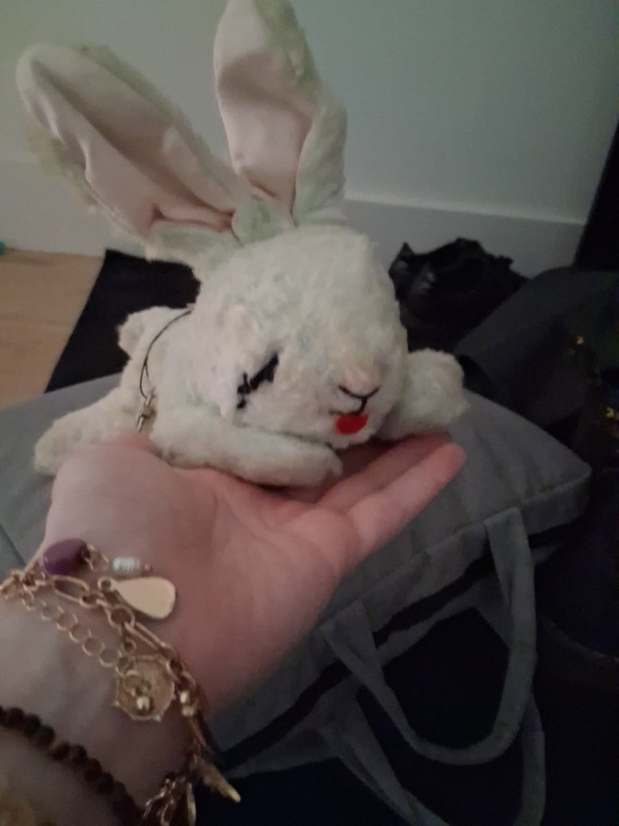 WindexNoises's tweet photo. found the cutest vintage bunny ever in the world https://t.co/OeSHqUjAYm