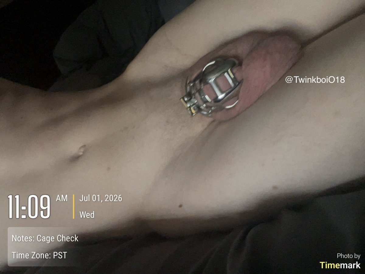 TwinkBoiO18's tweet photo. Cage Check - Day 290a
Boy way overslept today😵‍💫 he needed a good fucking last night to sleep well🤤. Also 290 days!🎉

Cage from @kink_wear 
#chastity #gaychastity #twink #lockedboy #sub #lockedsub #cagedboy #lockedbottom #chastitycheck https://t.co/O1M7vknByp