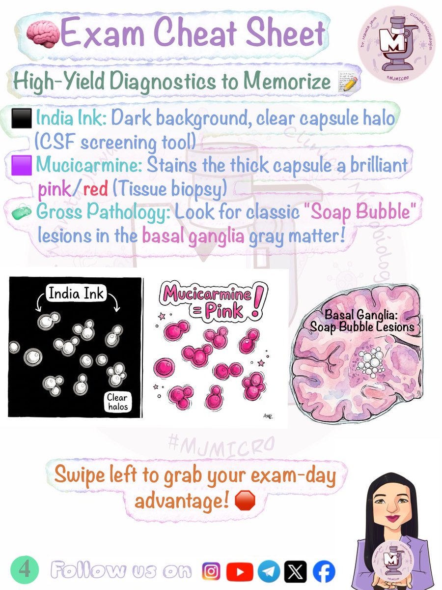 MJ_MICRO's tweet photo. Vignette Wednesday ✅🧿 (Slide 5 in comments)
#MamtaJawa #MJMICRO #MedTwitter #MedX #MedTwt #microtwitter #microbiology #neetpg #inicet #fmge #usmle #mbbs https://t.co/4Tjq6LmslL