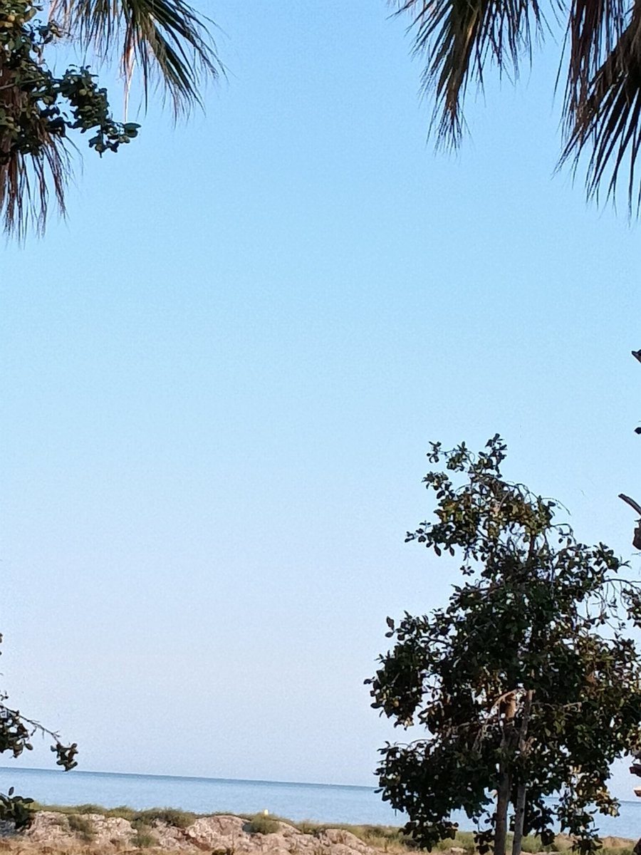 Mnica01163438's tweet photo. Buenas noches #Chicos
Dulces sueños a todos
#TardePiscina
Sean buena gente la vida pasa factura 🆗🆗🆗
Todo vuelve
Bezasos ❤️❤️❤️❤️❤️❤️#TeamSol https://t.co/m6QMlSsuyo