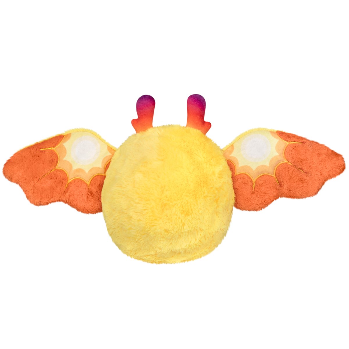 Squishable ◕‿◕ tweet media