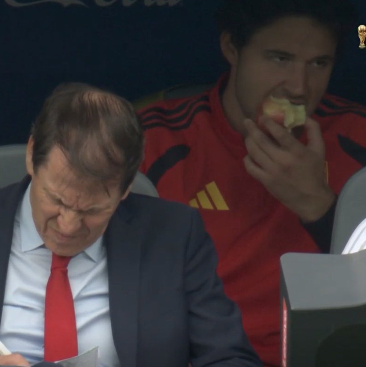 Utdtruthful's tweet photo. 📸 - Senne Lammens eating an apple on the bench during the Belgium game 😂❤️ https://t.co/5SAZEWQBsf