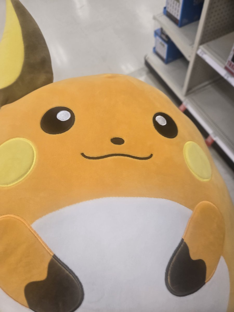 piggkeys's tweet photo. @KirbyCheatFurby I found this raichu squishmallow a couple of days ago and thought about you
Hope you feel better https://t.co/meSe54JeqW