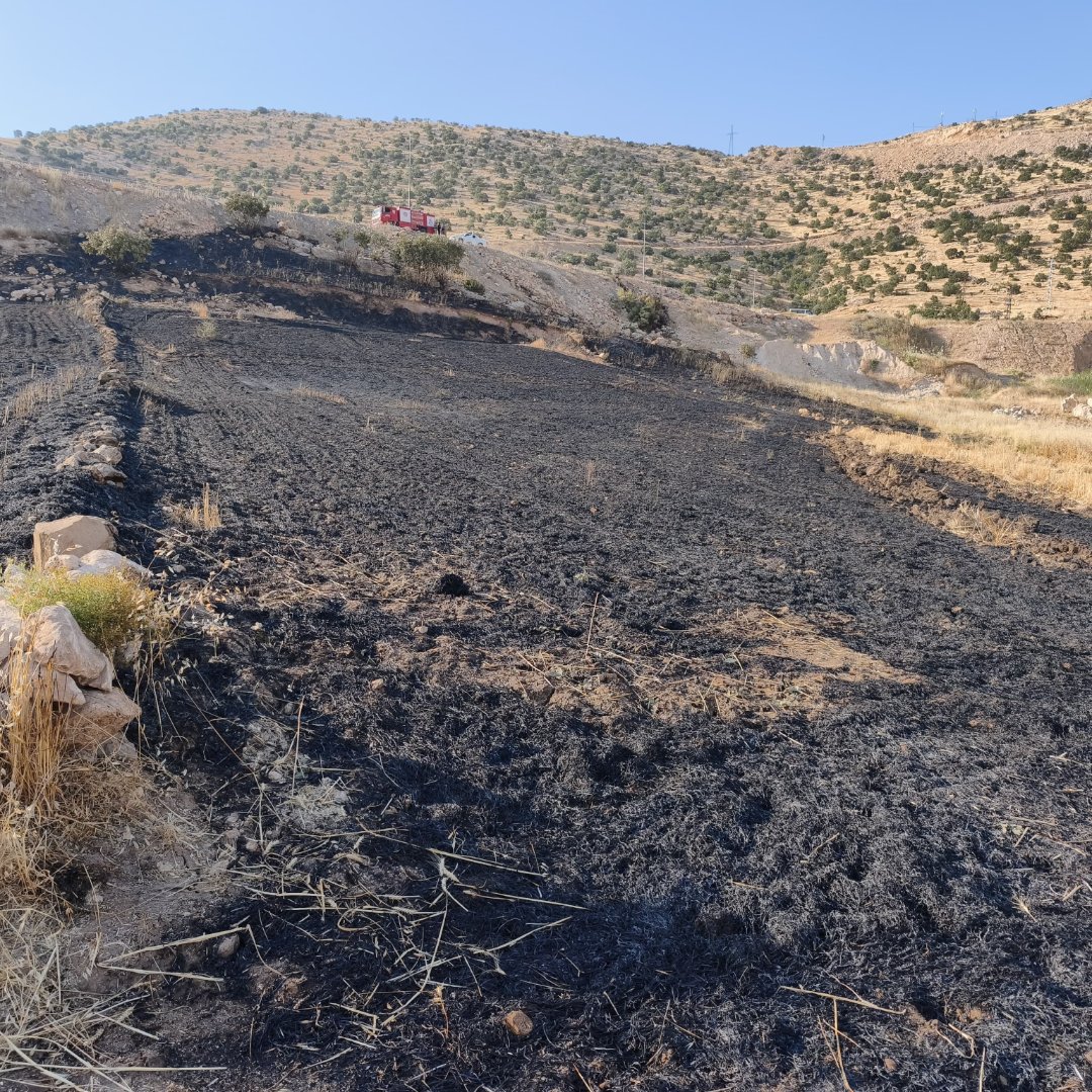 Şırnak'ta Anız Yangınında Çoban Ağır Yaralandı