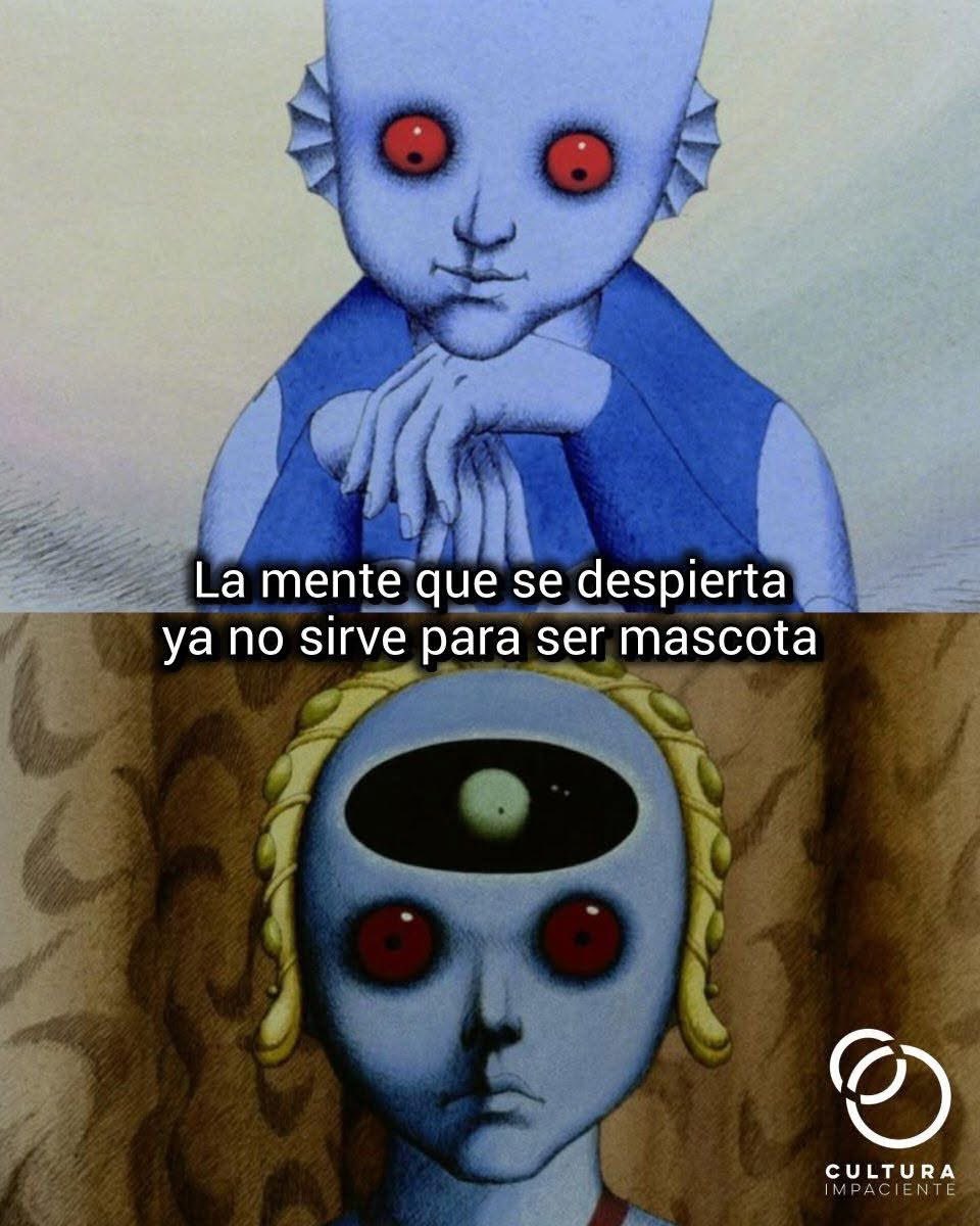 IsaFranco02's tweet photo. https://t.co/DM7xJCYz0M