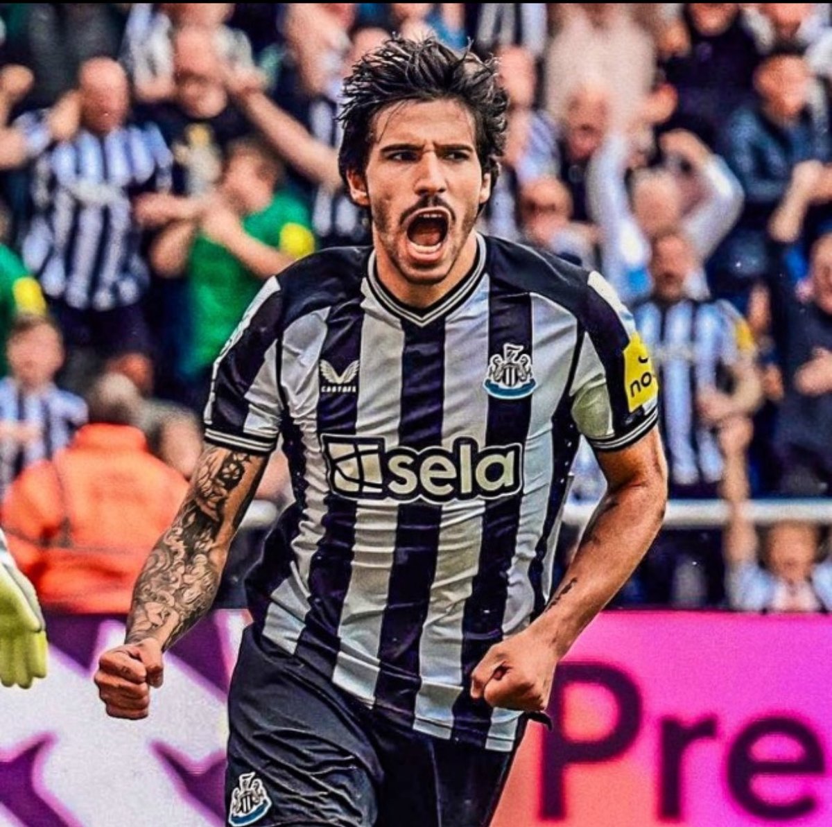 TheSpursExpress's tweet photo. 🥇🚨| #Tottenham reach agreement with Newcastle United to sign Sandro Tonali! @David_Ornstein https://t.co/562K0iGzai