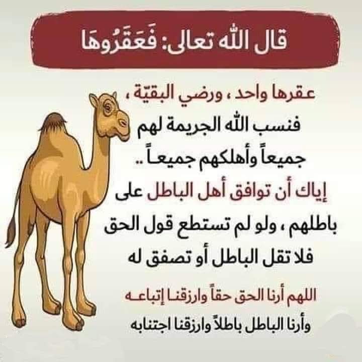 SelimHebba's tweet photo. https://t.co/UtQxauVGLp