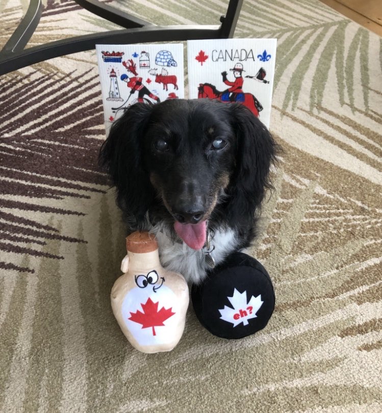 Wheatie7's tweet photo. @CanadianPenny1 🇨🇦 Happy Canada Day! 🍁 https://t.co/EQIncPGAz5
