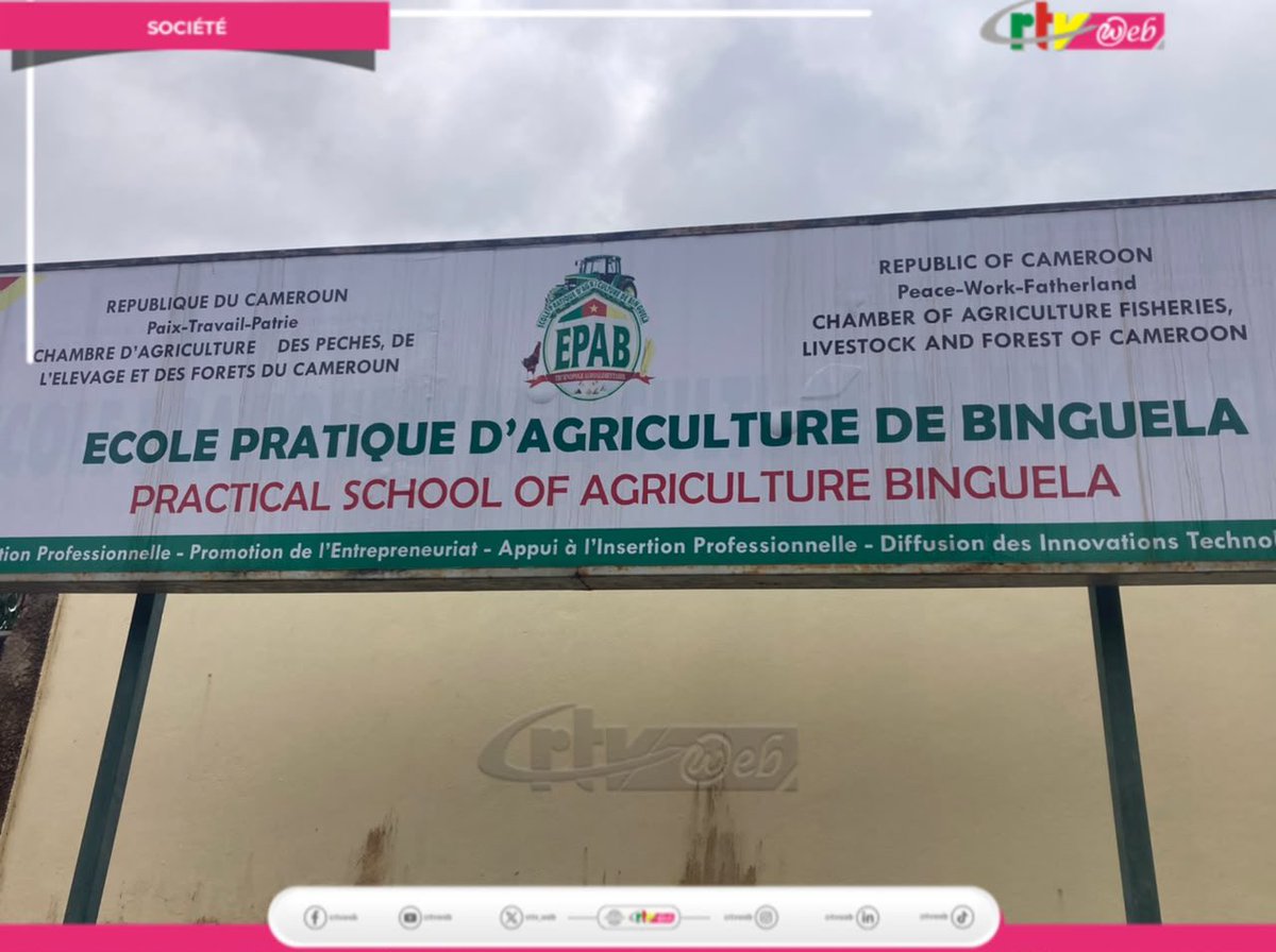 CRTV_web's tweet photo. pour l’incubation des Personnes Socialement Vulnérables (PSV) dans le secteur agrosylvopastoral.
#Agriculture
#Epab
#Minas
#Cameroun https://t.co/CqMdQD2VRq