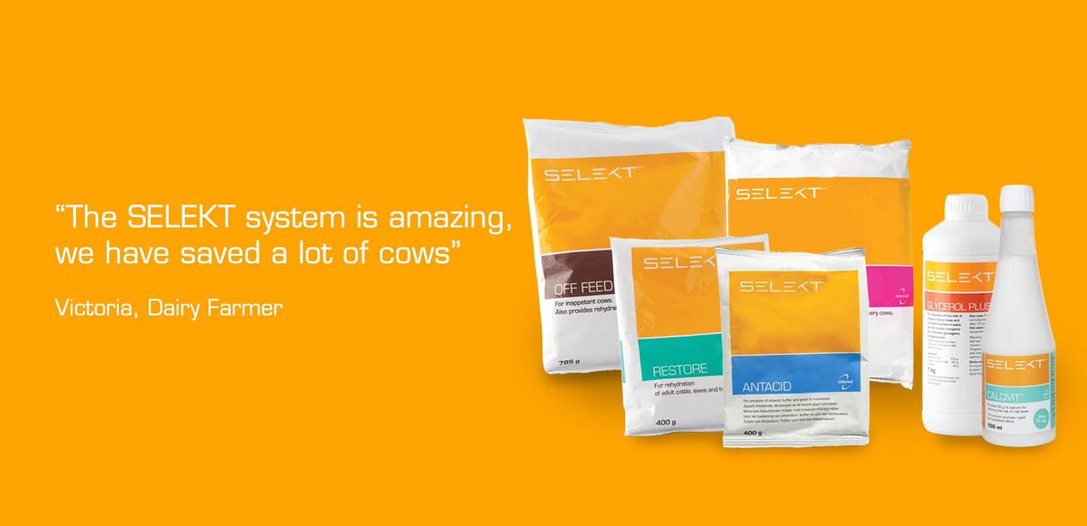 Cliffefarmvets's tweet photo. 📢Upcoming Selekt Talk📢
Introduction to fluid therapy and calving preparation with Selekt Vet Sciences Manager, Matt Swanborough. 
Lunch provided, please let us know dietary requirements
Date: Wednesday 8th July 
Timing: 10:30 - 1pm 
Please contact the office to book your place. https://t.co/e9Nrc3nzGG