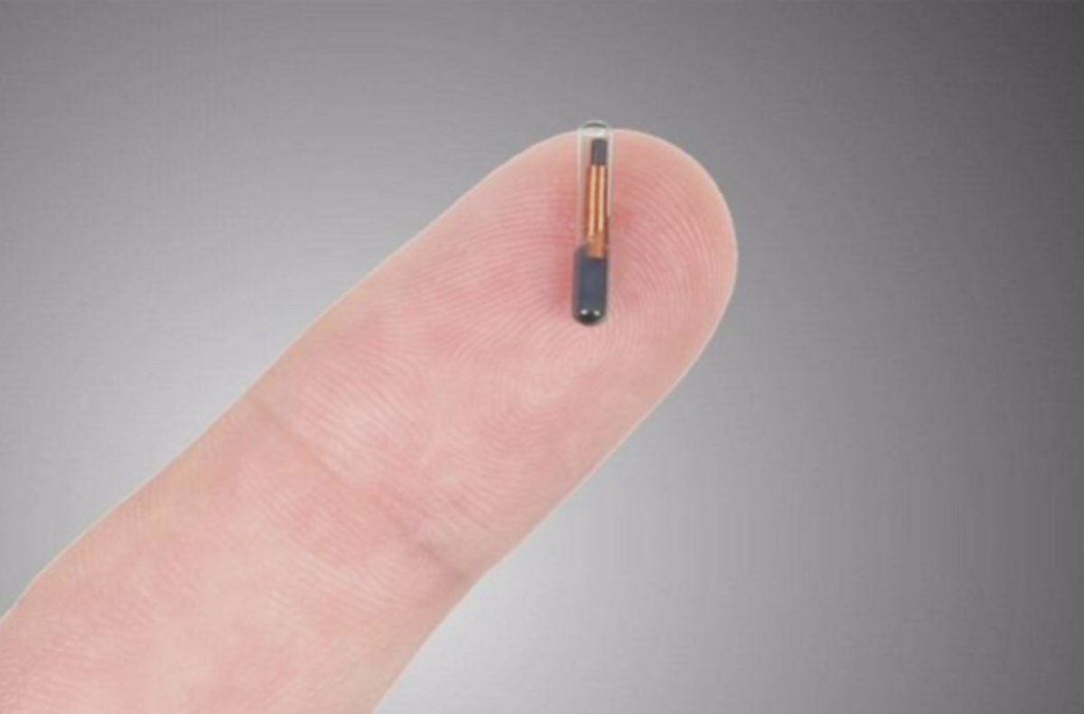 NovickDvm's tweet photo. ID Microchips are a safe, permanent, and reliable way to help identify your horse. About the size of a grain of rice, the microchip contains a unique identification number that can be read using a handheld scanner. #horses #horsecare #equinecare #veterinarian https://t.co/1RHI9lMpFF