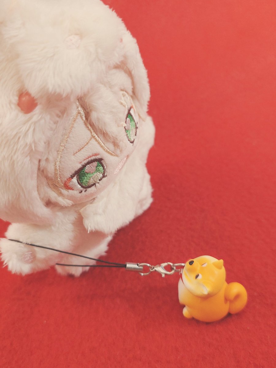 amano_shingetsu's tweet photo. #いつぬいが見られるタグ https://t.co/rjcUE9xtLm