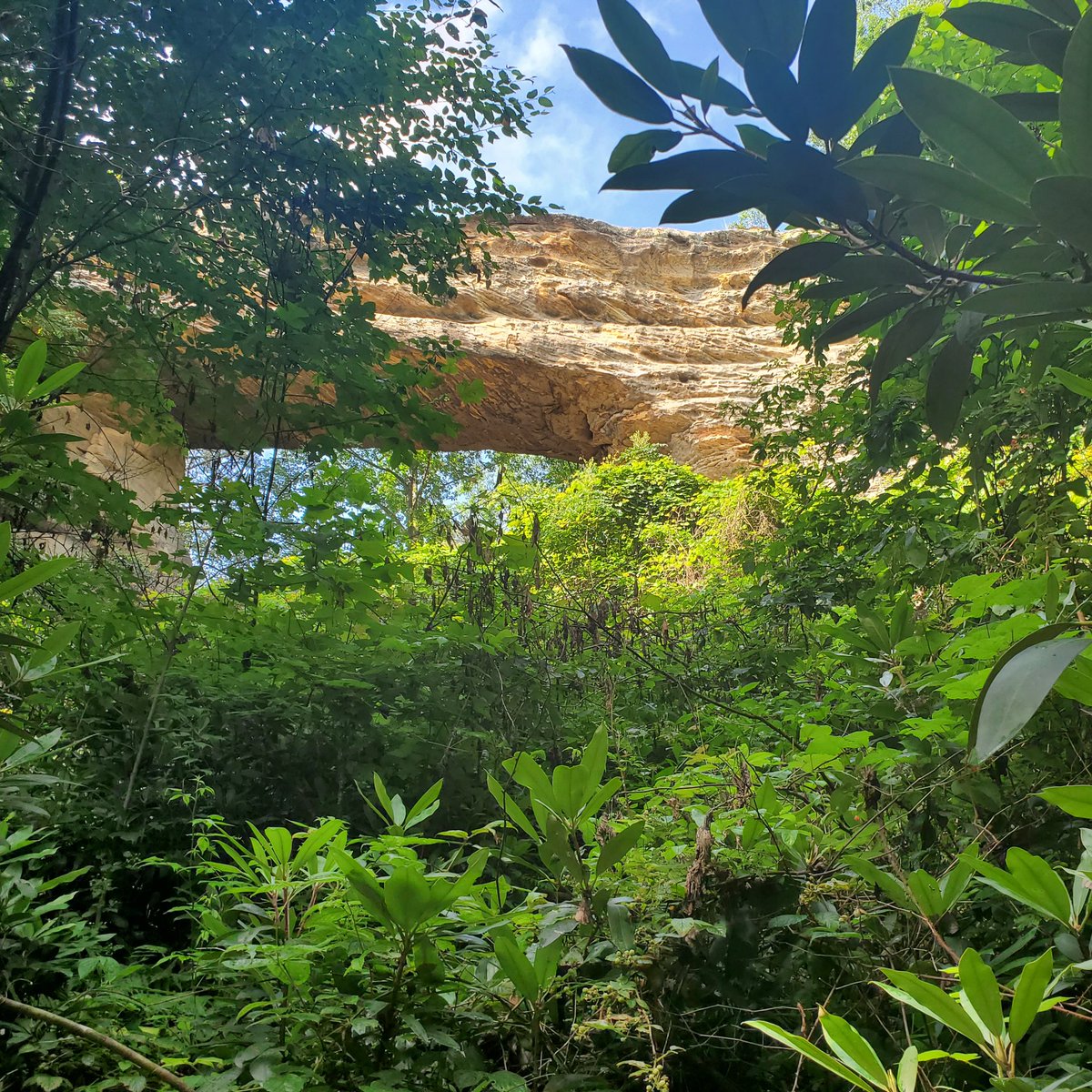 sablank4049's tweet photo. Hot day but gorgeous views. It's what my daughter wanted to do so you bet we did it. Even though I'm in a lot of pain now. #naturalbridge https://t.co/dhbyQhM24J