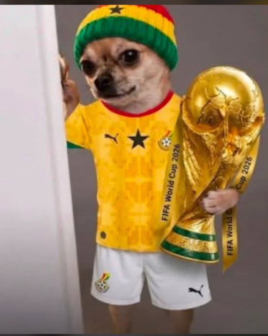 theberneese's tweet photo. Ivory Coast and Dr Congo played nice football, where are they? https://t.co/fZc2eoEoQt