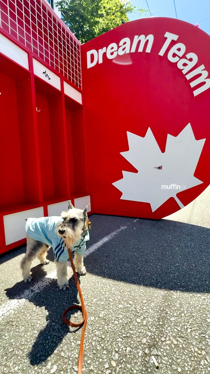 muffinjai's tweet photo. Happy Canada Day from your favorite patriotic pup! ๐จ๐ฆ Iโve officially infiltrated the Team Canada dream team locker room, and let me tell you, the vibes are absolutely immaculate in here.
#CanadaDay #TeamCanada #DreamTeam #VancouverLife #SchnauzerStyle #Vancouver https://t.co/91G6TZHhXJ