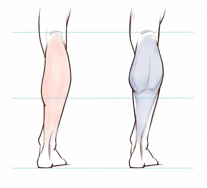sodaguyx's tweet photo. Female vs Male calves https://t.co/146hLQDdDx