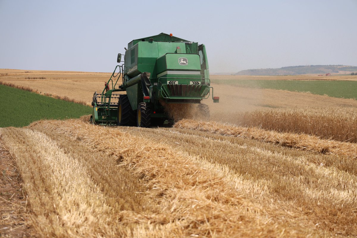 EdirneTrm's tweet photo. 📍 Buğday Demonstrasyon Alanında Hasat Zamanı🌾
📌 Ayçiçeğinde Farklı Ekim Yöntemleri ve Ekim Zamanları Demonstrasyonunda Buğday Hasadı Gerçekleştirildi 🌻🌾
👇👇👇
https://t.co/1uAp7JmLQl

@TCTarim 
@Bugemtr https://t.co/Wg3MwcuSyx