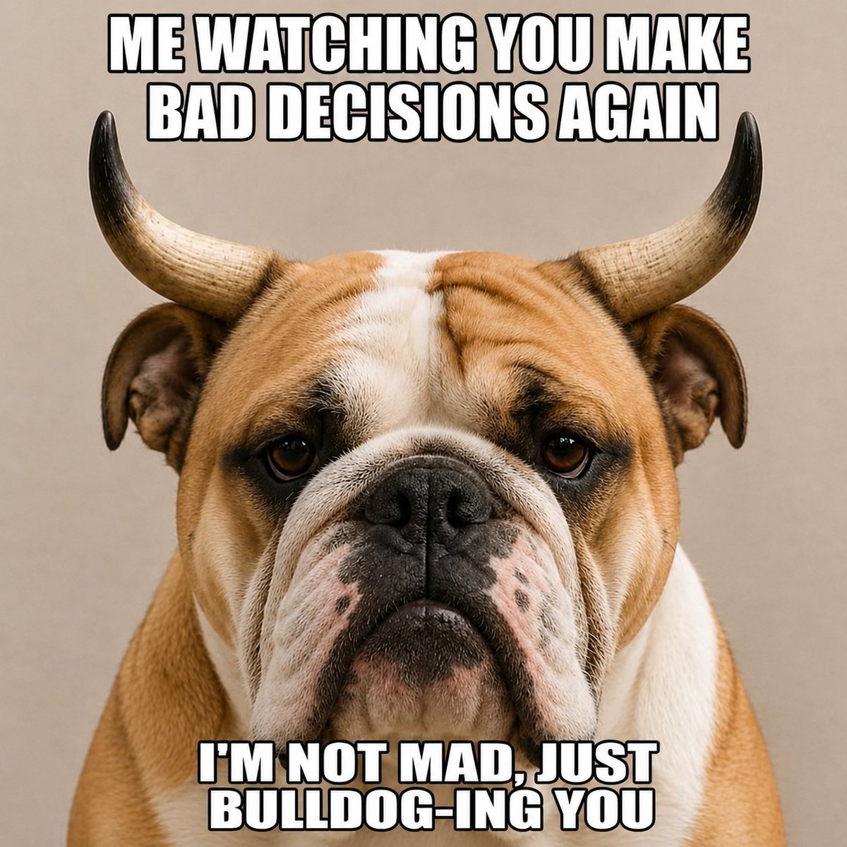 Network274777's tweet photo. @iamsamcrypto $BULLDOG

2n6csi9hPUdHmAqag1ZfmMMBA9vibQ466ThAJoqfpump https://t.co/AP5f9YCHTt