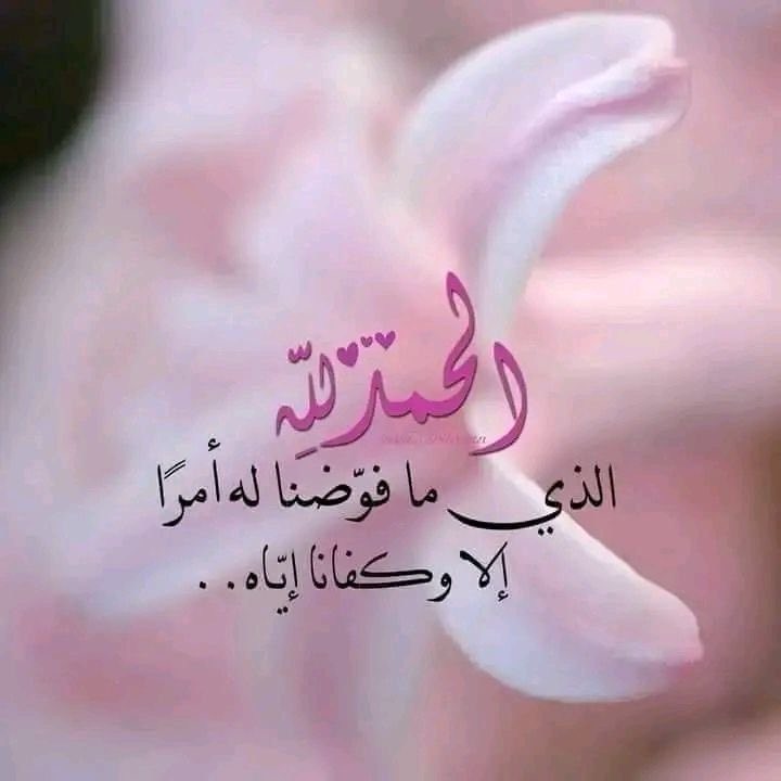 omsaaad19's tweet photo. أمسينا في حِفظِ الحافظِ ورحمةِ الخالقِ  وربِّ المتوكِّلين  يارب اكتُب لنا في هَذا المساء كلَّ خيرٍ وأَسعِدنا إنّك على كلِّ شيءٍ قدير. https://t.co/Rkq35R18RK