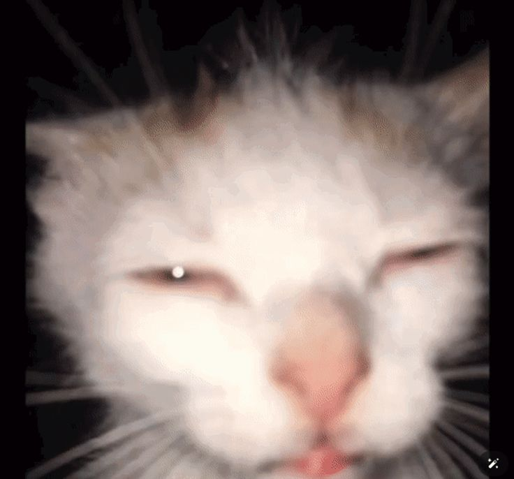 FuntimeNcP's tweet photo. Extraño cuando lo más molesto de ir al cine era un bebé llorando en un entorno donde no debería estar expuesto o el grupito que no se callaba.

Ahora eso eso sumado a gente entrando comida olorosa, mirando TikTok y un pibe explicando a otro la peli cada 2x3 pq no prestó atención https://t.co/5YxjCib0bF