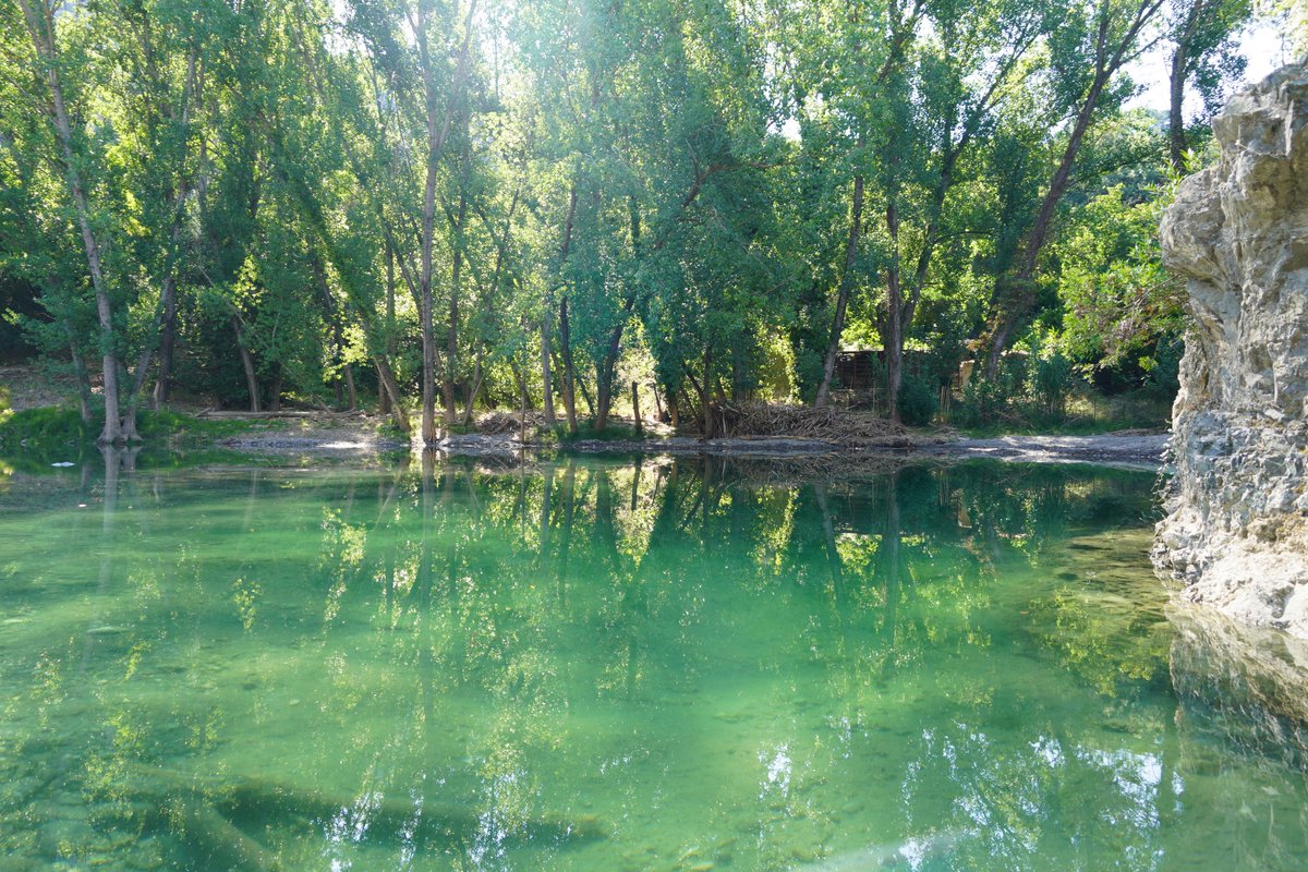 AltoGenal's tweet photo. CHARCOS Y POZAS DEL RÍO #GENAL, UN PARAÍSO NATURAL
#ValledelGenal #SerraniadeRonda #Malaga @algatocinayto #VeranoConMiGente #verano2026 @genandaluz @malagaturismo @Andalucia_Rural https://t.co/1a5FjoElI1