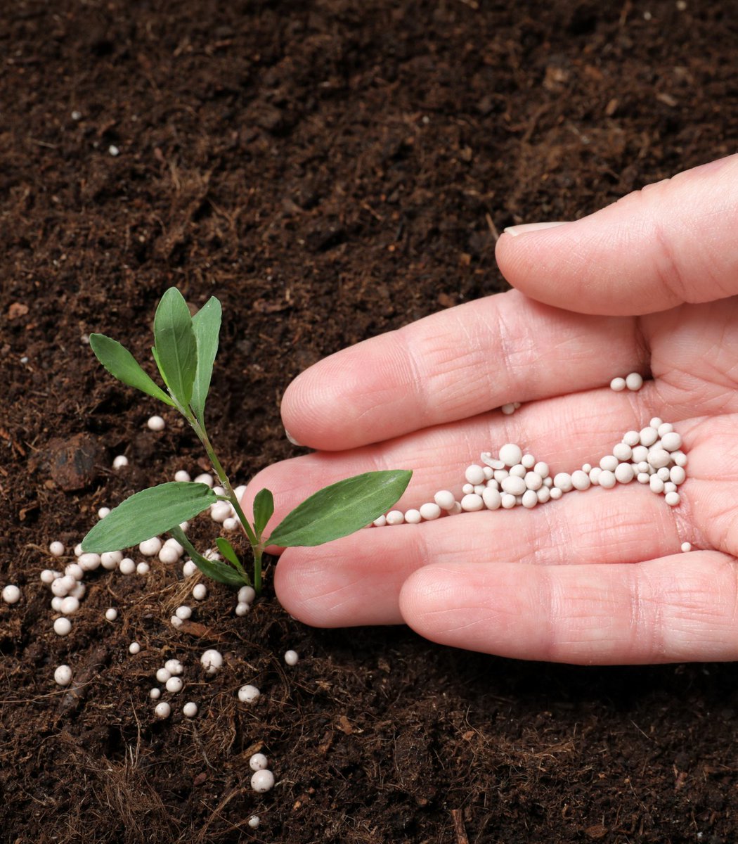 pubity's tweet photo. The U.S. has declared a state of emergency, with the country being unable to source enough fertilizer for crops.

The government is now importing emergency fertilizer from Morocco and investing $500,000,000 to ramp up fertilizer production. https://t.co/bgjgFLwiEY