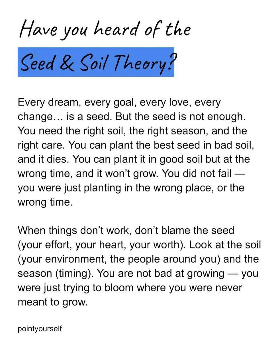 Liminal1988's tweet photo. Have you heard of the seed &amp; soil theory? https://t.co/r7rqvXpNxw